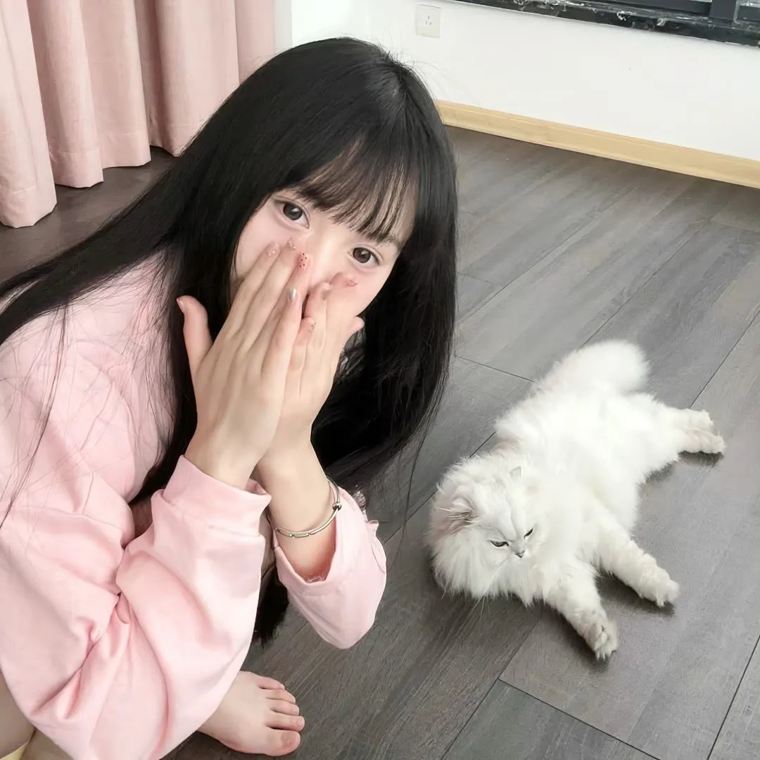 元首的面孔