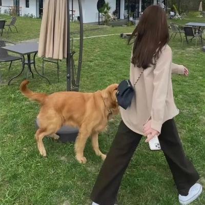 书卷一梦